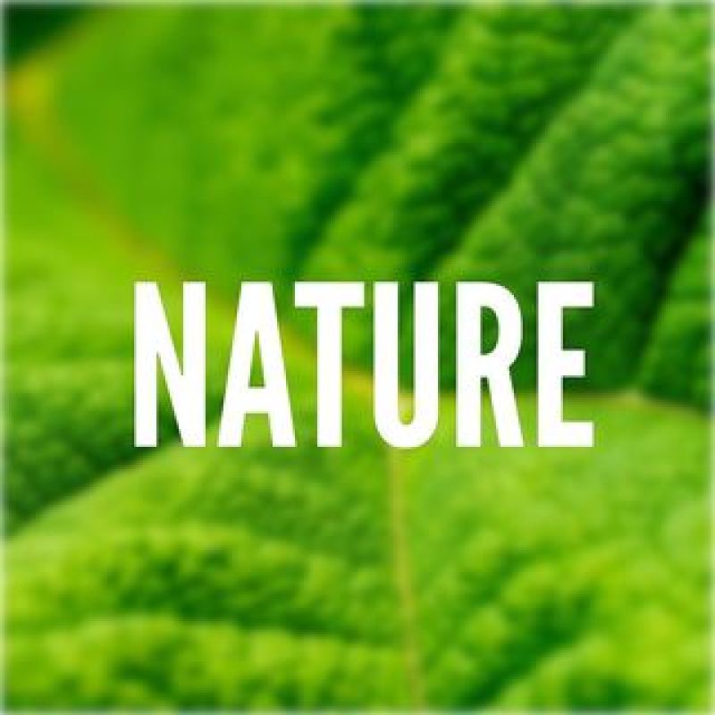 Nature official Instagram Page